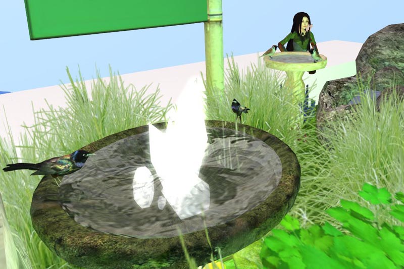00-birdbath_479