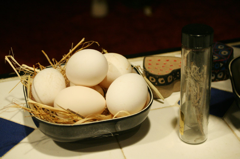 eggs_3960