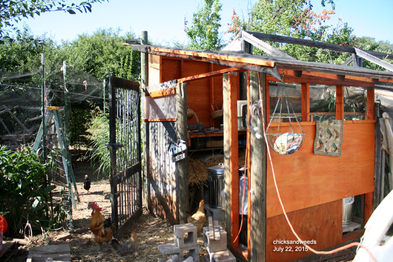 July 2015 - feed storage, not quite done
